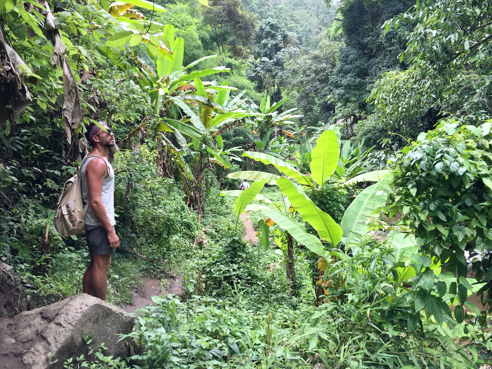 chiang mai jungle adventure