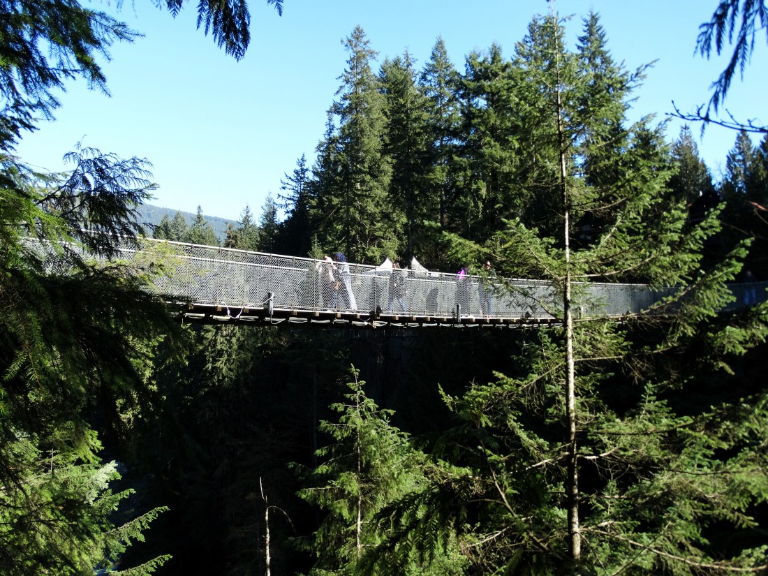 capilano suspension bridge