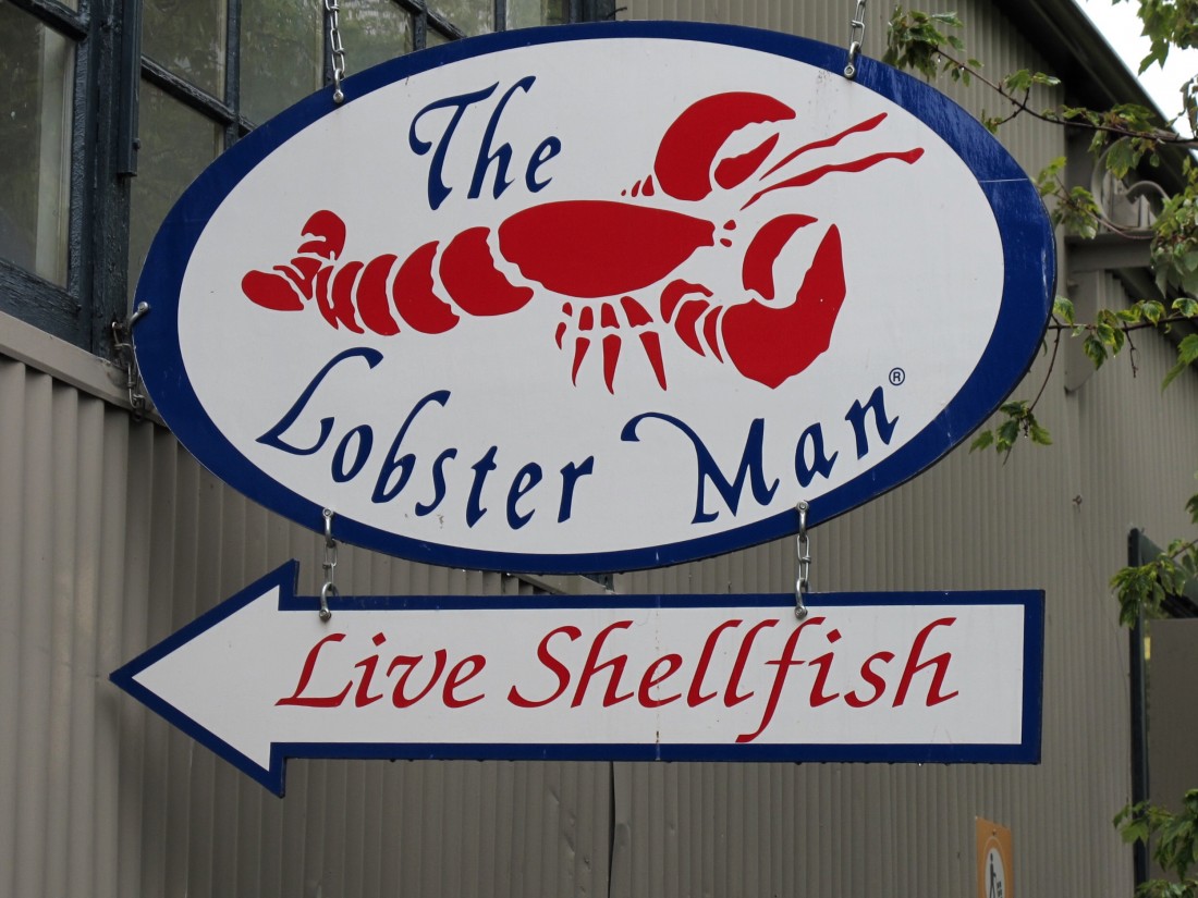 the lobster man