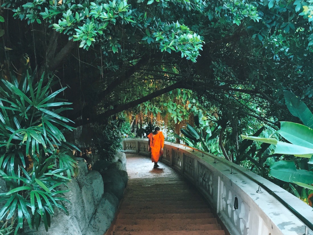 thai monk