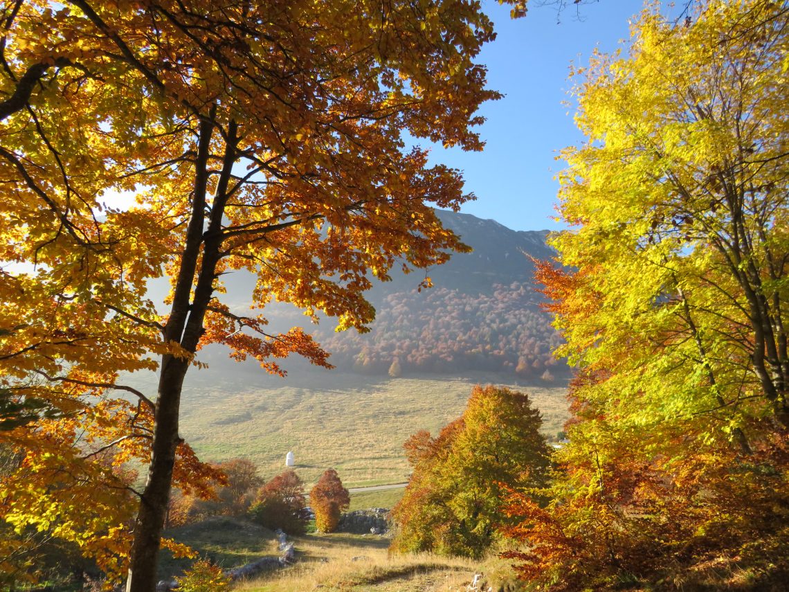 Monte Baldo autunno