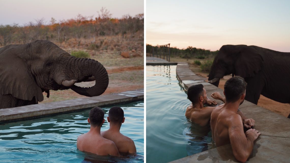 mhondoro elephant pool